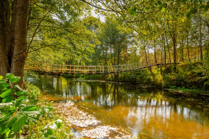 Купание в реке Нарочанка